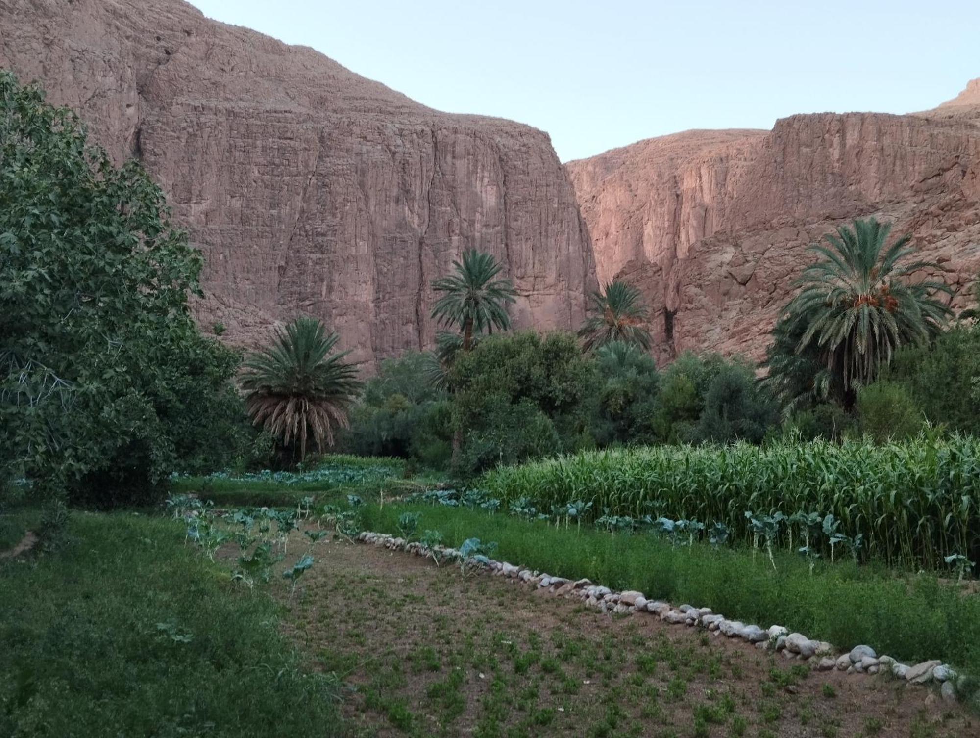 Riad La Fleur Aït Baha Kültér fotó