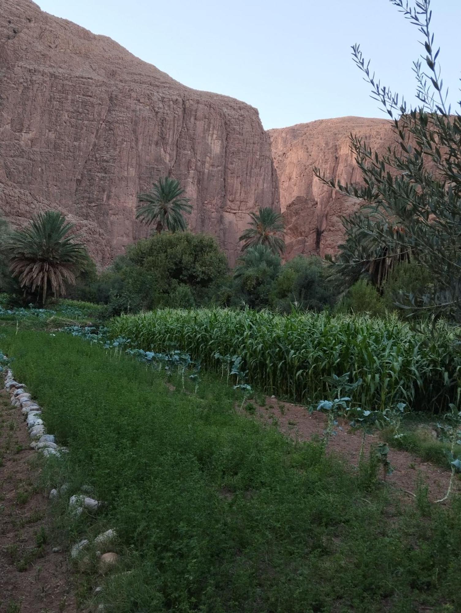 Riad La Fleur Aït Baha Kültér fotó